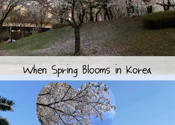 Apartamento Namsan Shade Myeongdong, 명동 서울